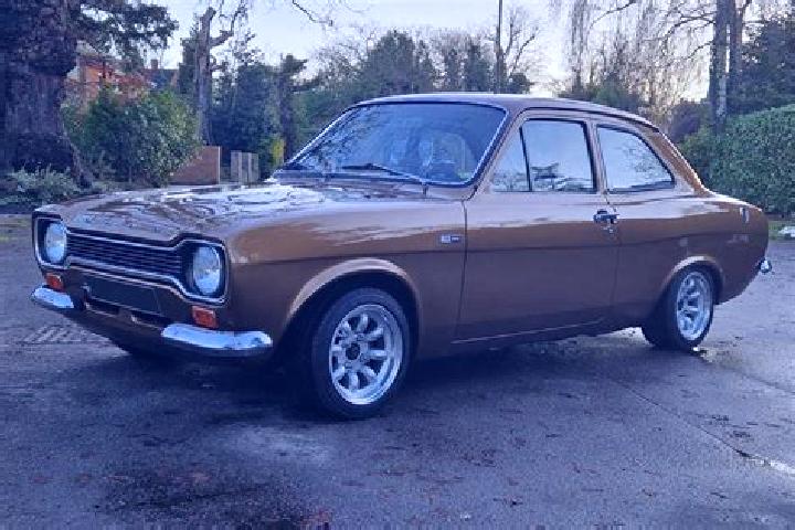 escort Nayland
