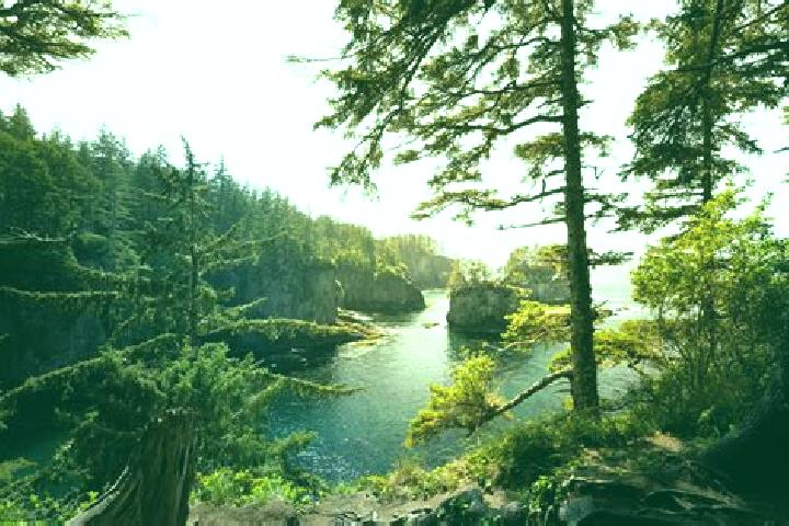 escort Neah Bay