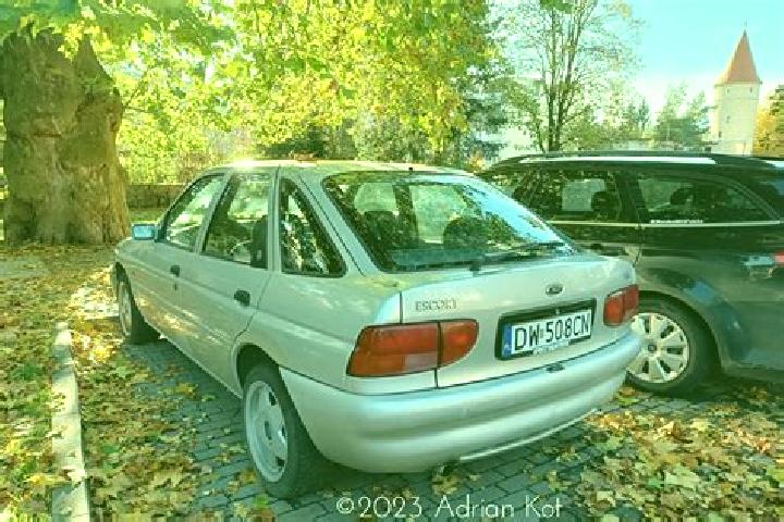 escort Negenborn
