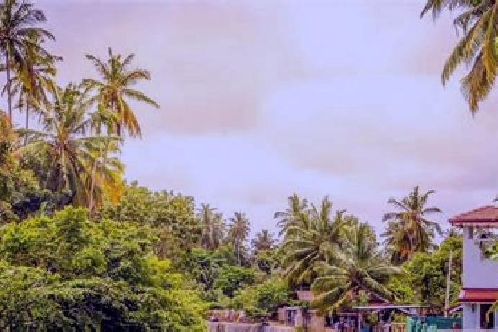 escort Negombo