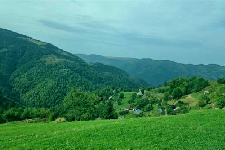 escort Negrenii de Sus