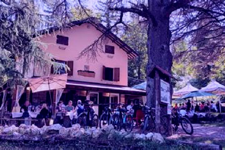 escort Nespoledo-Villacaccia