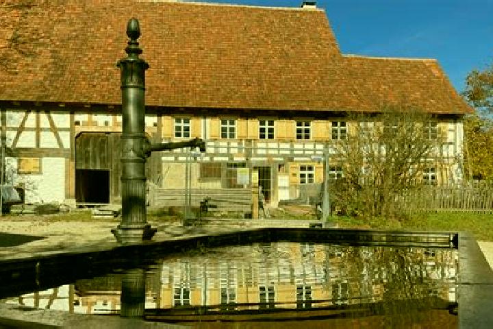 escort Neuhausen ob Eck