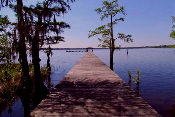 escort Neuse Forest