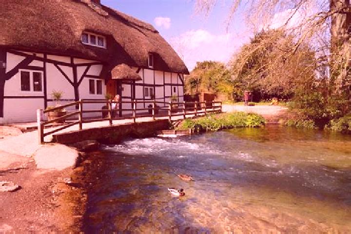 escort New Alresford