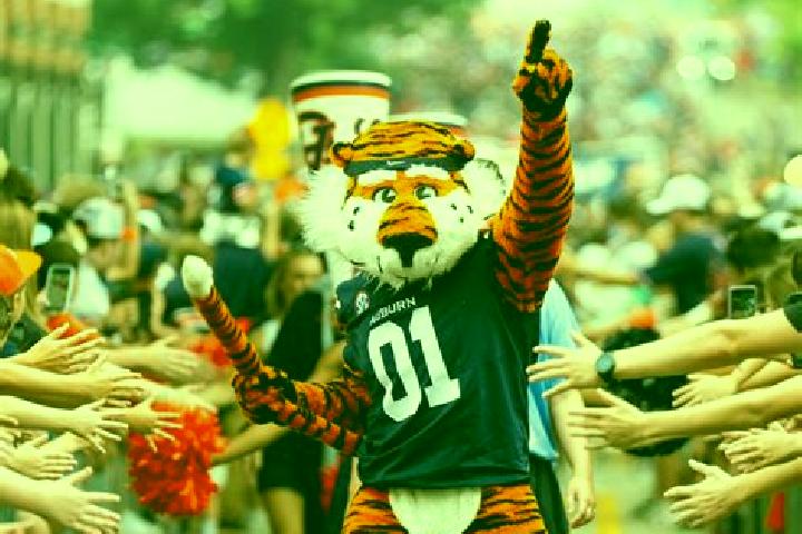 escort New Auburn