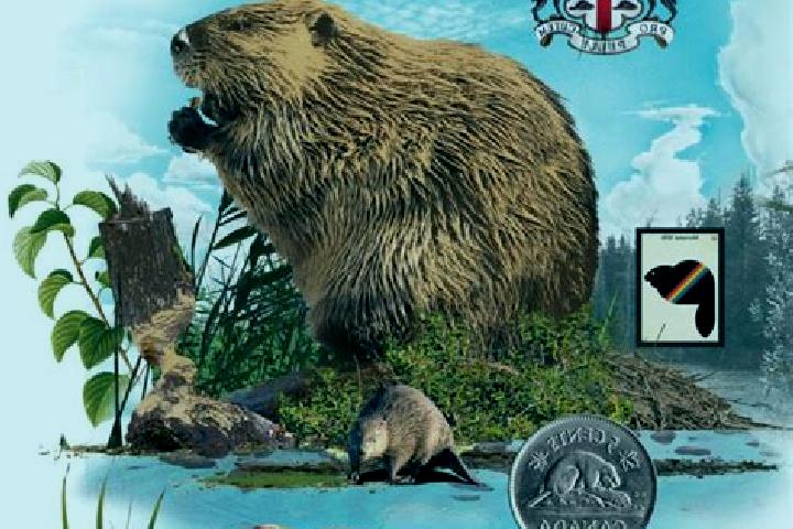 escort New Beaver