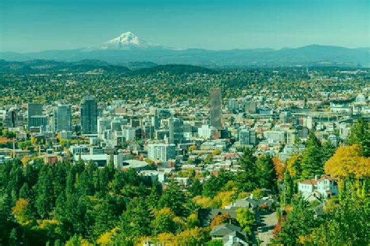 escort New Portland