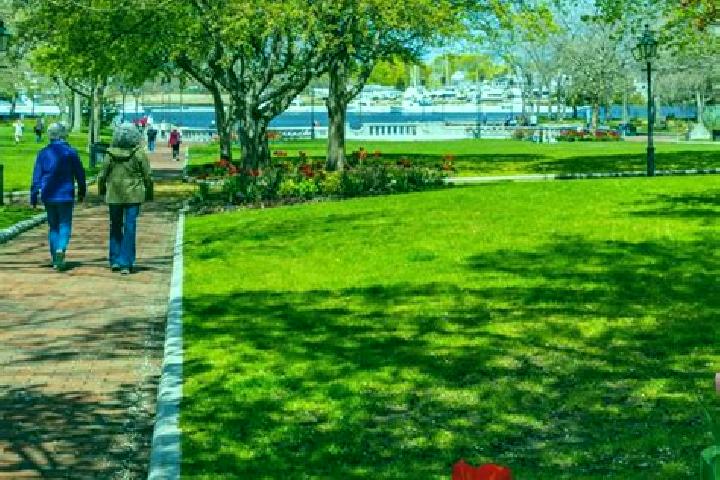 escort Newburyport
