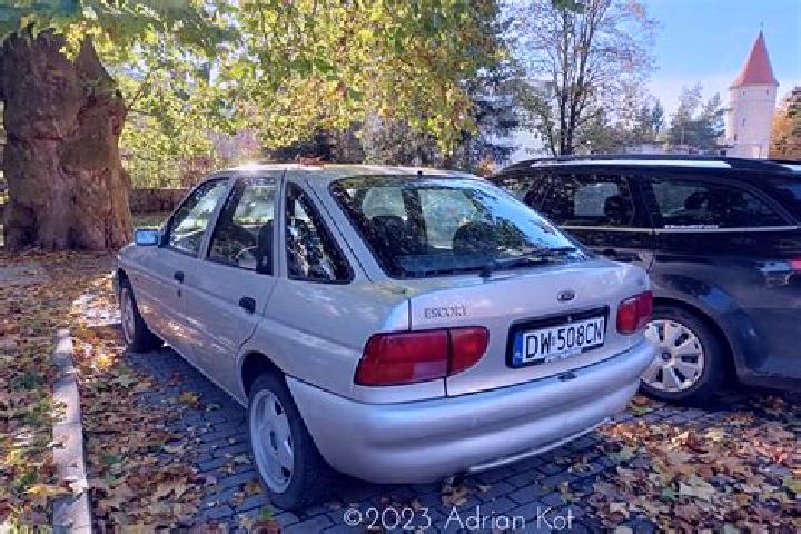 escort Niederlenz