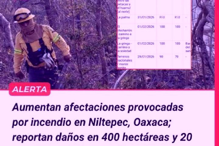 escort Niltepec