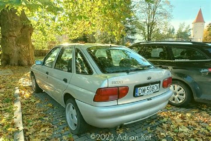 escort Ninove