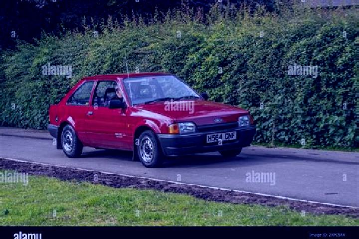 escort NirDavid