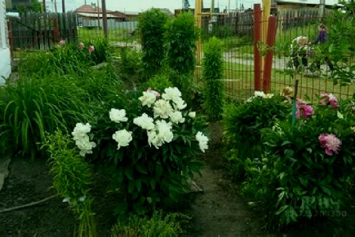 escort Nizhniy Ufaley