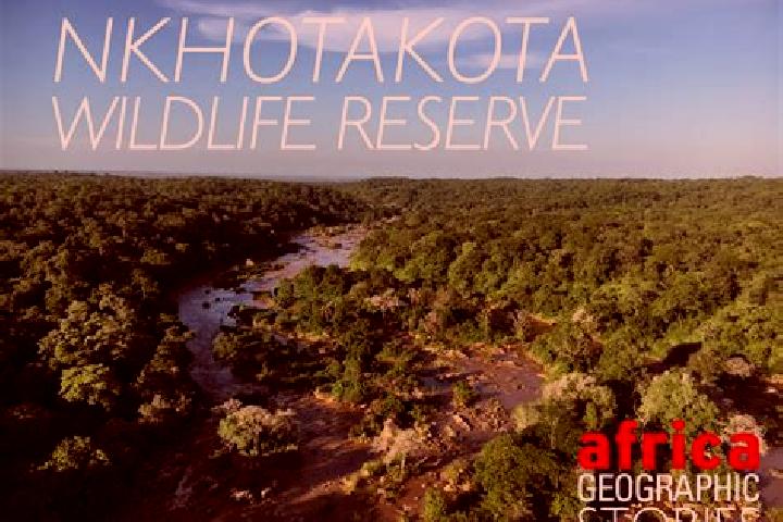 escort Nkhotakota