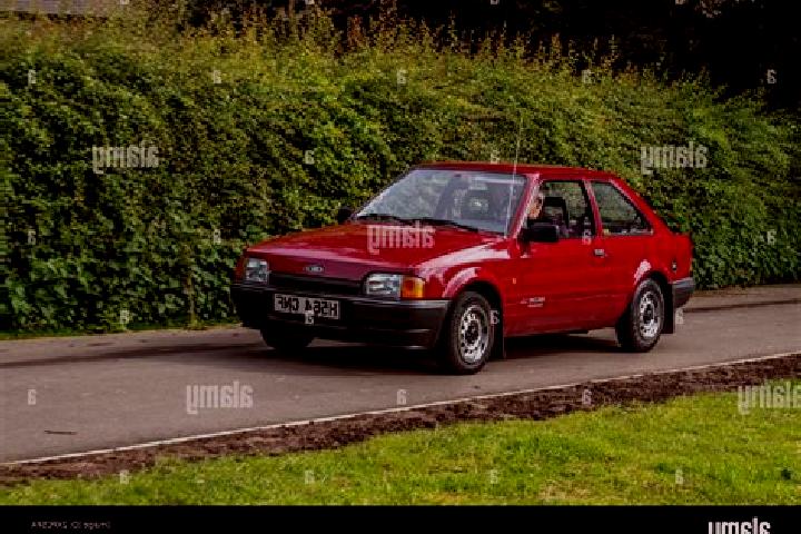escort Noginsk