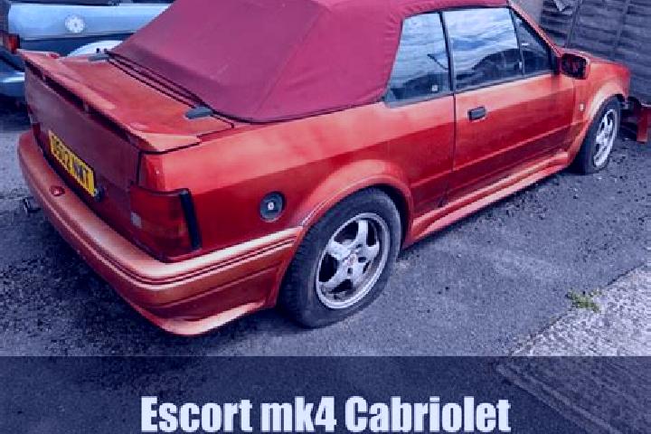escort Non Sang