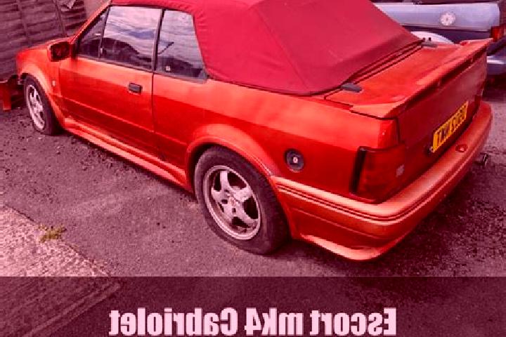 escort Non Sila