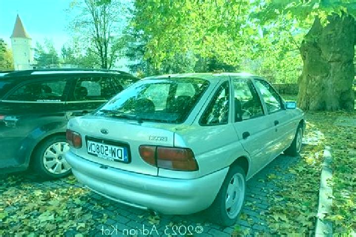 escort Nonnewitz