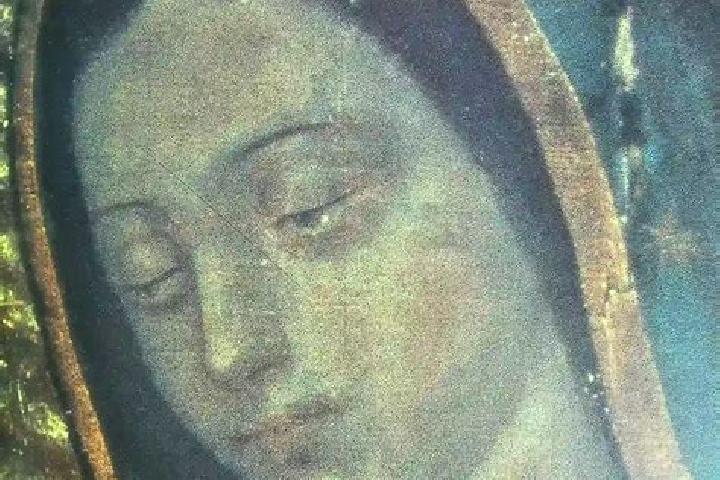 escort Norias de Guadalupe