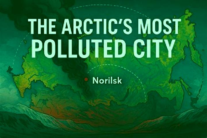 escort Norilsk