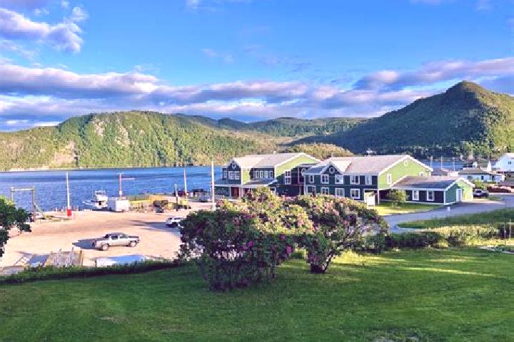 escort Norris Point