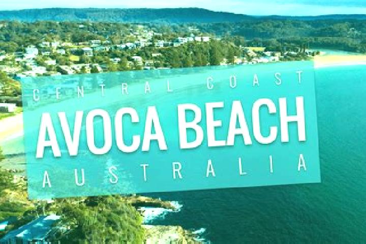 escort North Avoca