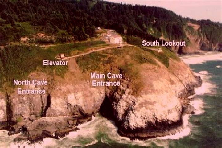 escort North Cave