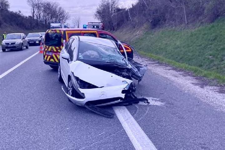 escort North Charleroi