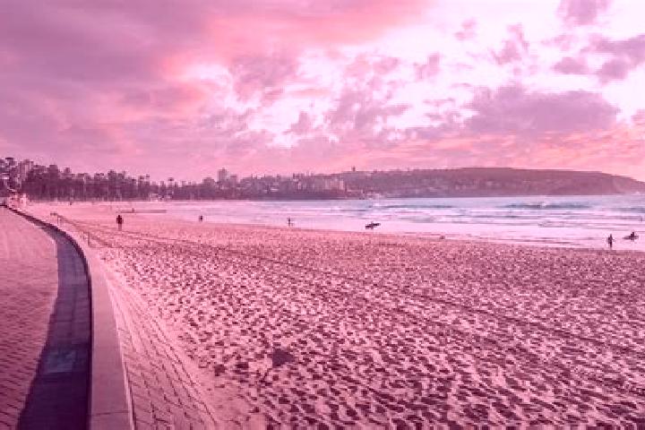 escort North Manly