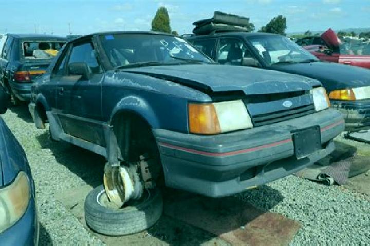escort North Westport