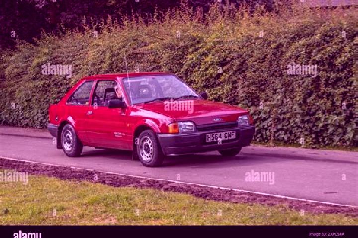 escort Nostorf