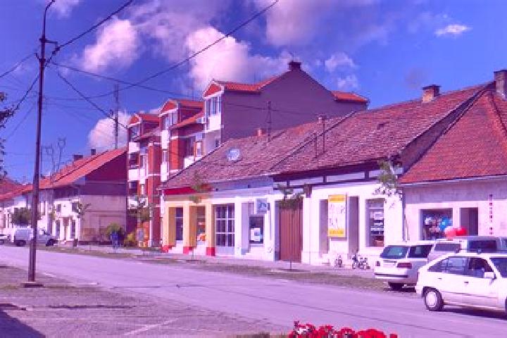 escort Novi Becej