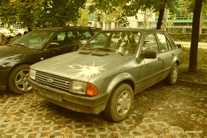 escort Novi