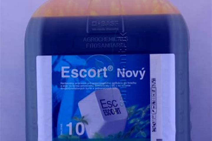 escort Novy Oskol
