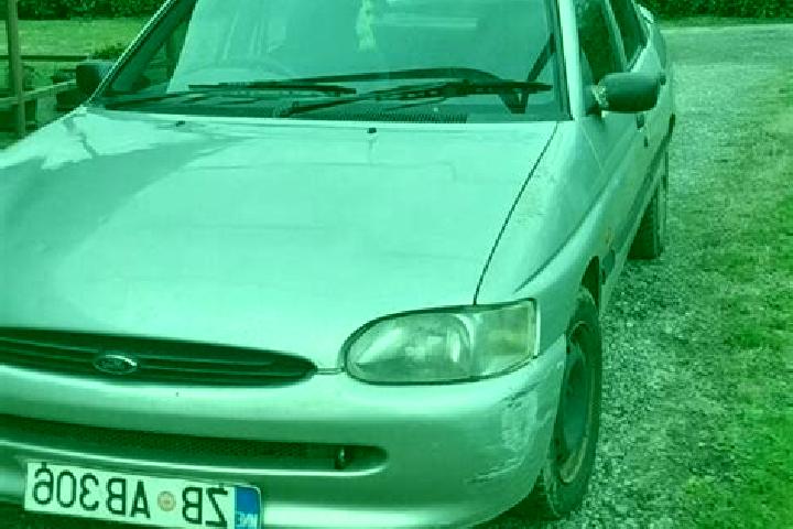 escort Nowa Gora