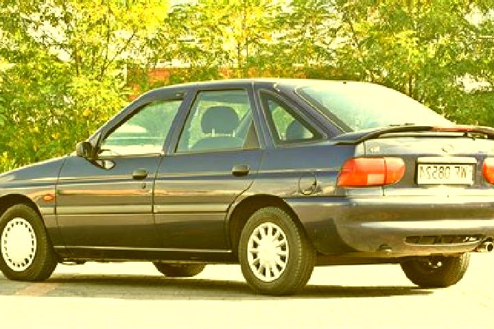 escort Nowe