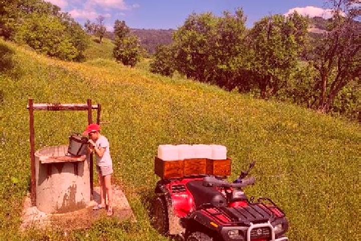 escort Nucsoara de Jos