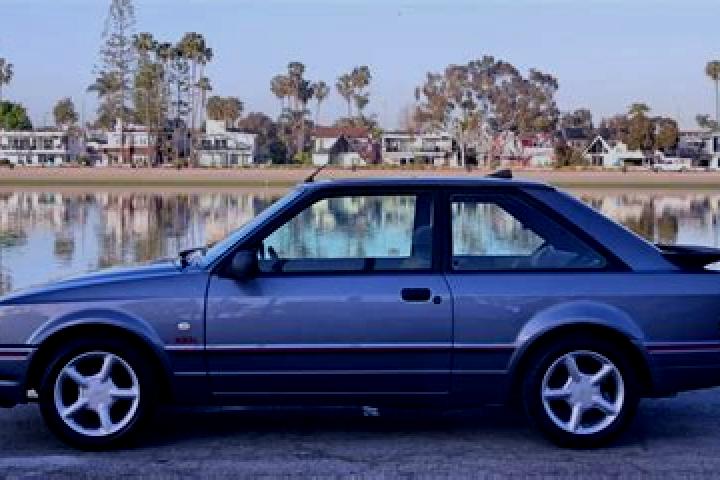 escort Oakey