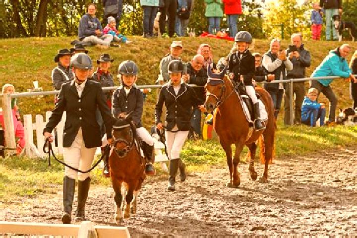 escort Oberlungwitz