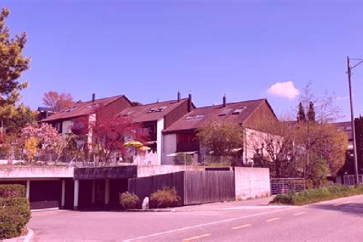 escort Obfelden / Bickwil