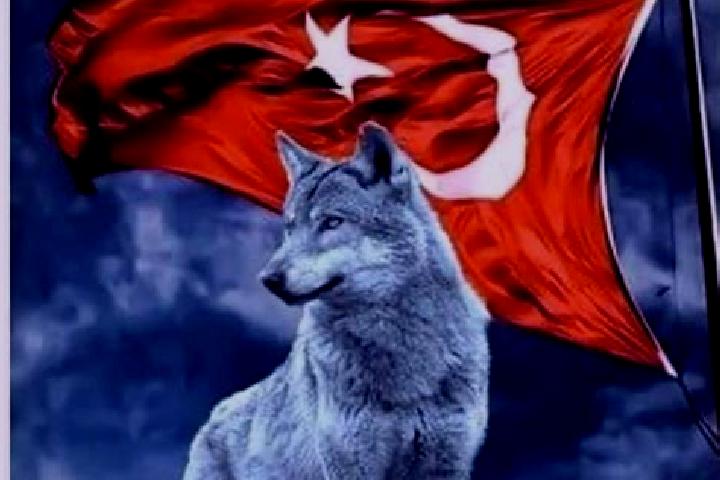 escort Oguzlar