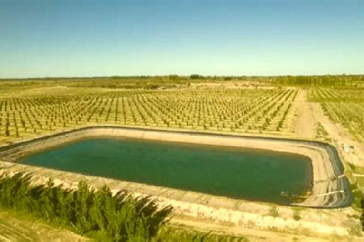 escort Ojo de Agua Seco