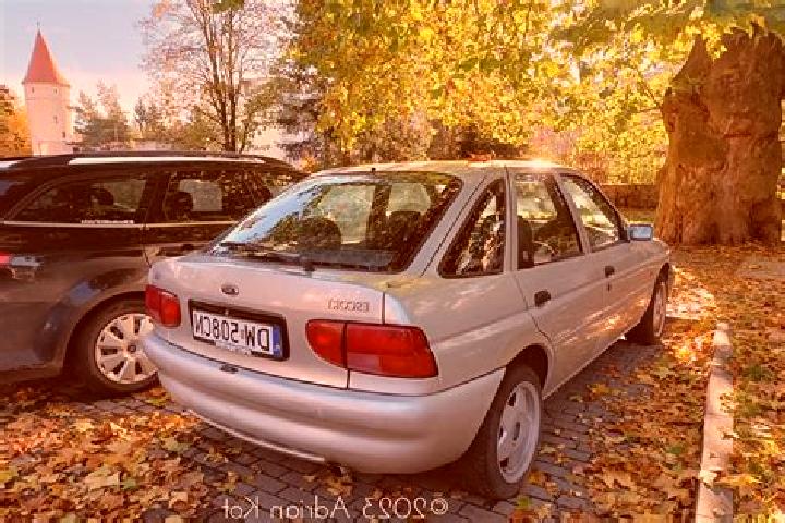 escort Oleksiyivka