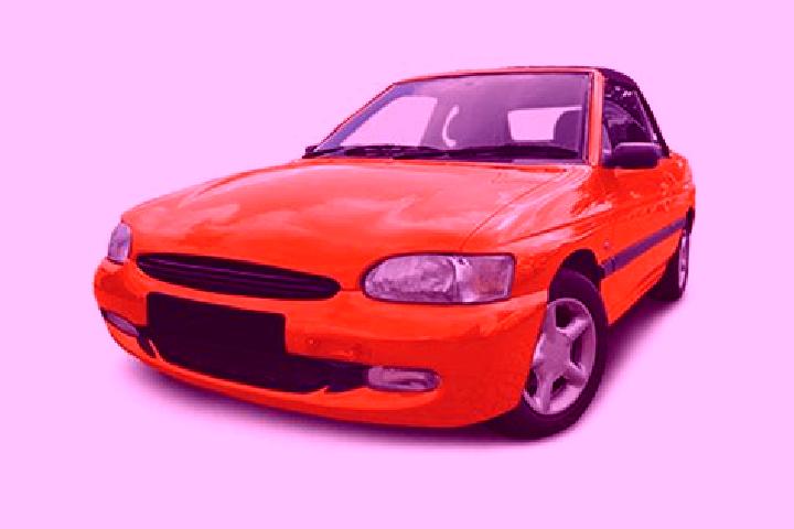 escort Oleo