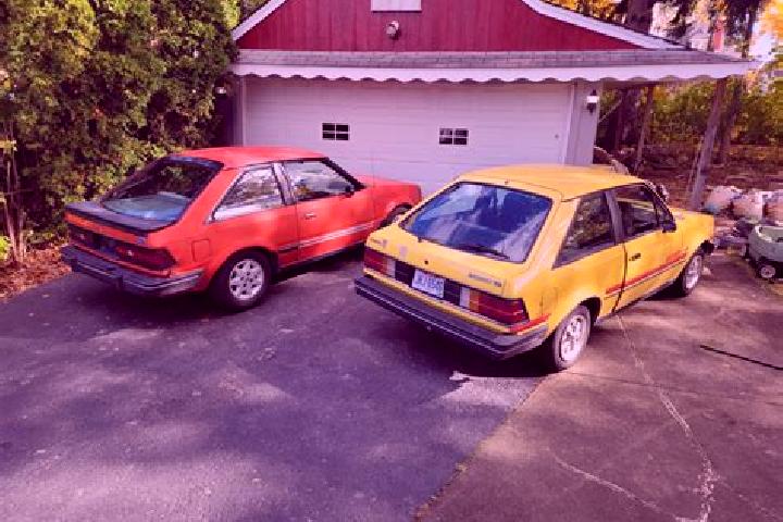 escort Olsberg