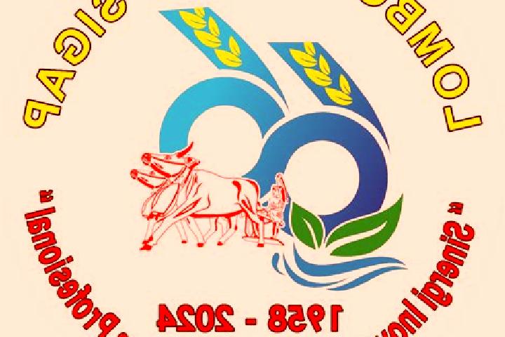 escort Ombul Barat