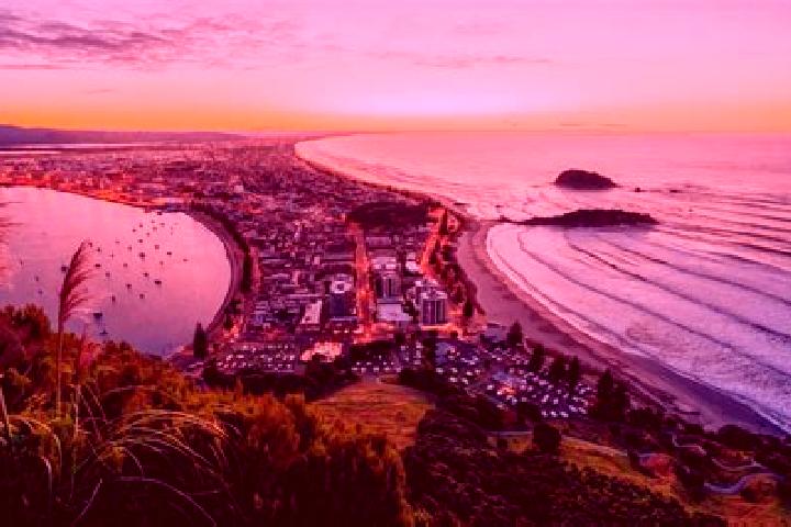 escort Omokoroa