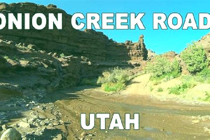 escort Onion Creek