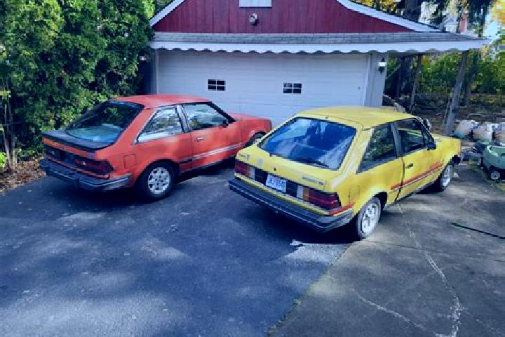 escort Opotiki